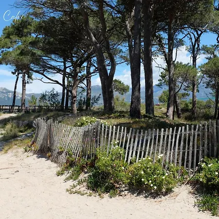 Les Pieds Dans L'eau T2 A Διαμέρισμα *