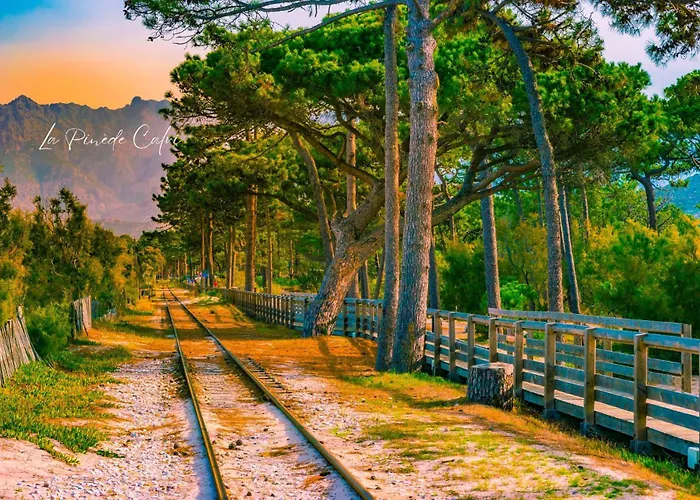 Les Pieds Dans L'eau T2 A