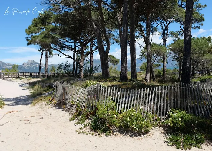 Les Pieds Dans L'eau T2 A 公寓 *