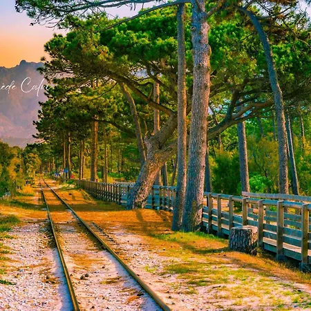 Les Pieds Dans L'eau T2 A